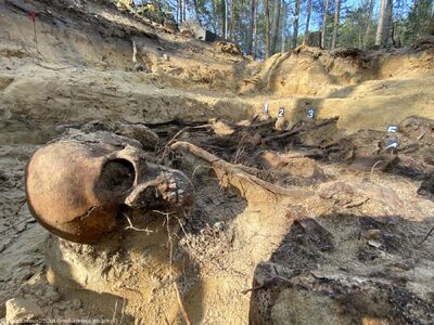 Prace ekshumacyjne prowadzone przez Biuro Poszukiwań i Identyfikacji IPN przy ul. Skierdowskiej w Warszawie – 25 marca 2021. Fot. BPiI IPN