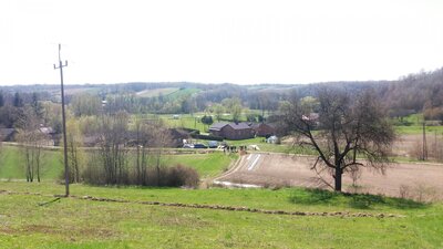 Ekshumacja Konstantego Dyzio – Zawada, 28 kwietnia 2021 dot. A.Siwek/BUWiM