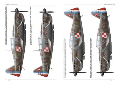 Strony z albumu „Caudrony nad Francją”