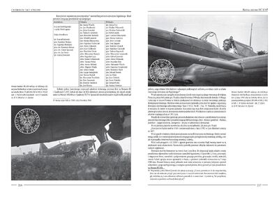 Strony z albumu „Caudrony nad Francją”