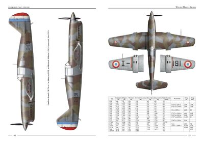 Strony z albumu „Caudrony nad Francją”