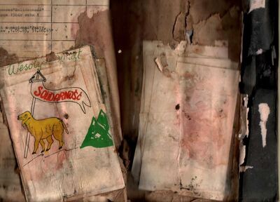 Fot. 6. Skanogram posklejanych i zniszczonych kart z akt zalanych - materiał dowodowy - zainfekowanan przrz kolonie grzybów. AIPN Wr 18/57 t. 21, s. 66.