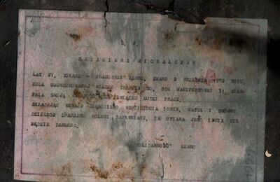 Fot. 15. Skanogram zniszczonej okładki teczki materiałów dowodowych. Powierzchnia zainfekowana przez kolonie grzybów. AIPN Wr 18/57 t. 21, s. 68.