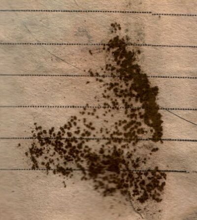 Fot. 20. AIPN Wr 18/57 t. 21, s. 42v, fragment.