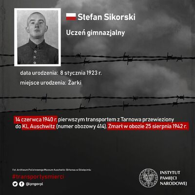 Pierwszy transport śmierci – infografiki