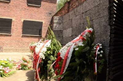 81. rocznica pierwszego masowego transportu Polaków do KL Auschwitz. Uroczystości w Oświęcimiu. Fot. Janusz Ślęzak (IPN)