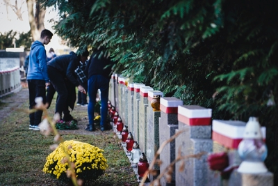 „Zapal znicz na grobie Weterana” –  Cmentarz Wojskowy na Powązkach, fot. MN/BUWiM