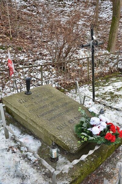 Zdjęcie pomnika przed remontem (tomaszowmazowiecki.naszemiasto.pl)