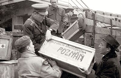 Wyładunek pomocy medycznej przysłanej Węgrom z Polski, Budapeszt, 1956 r. (fot. NAC/Krzysztof Janik)