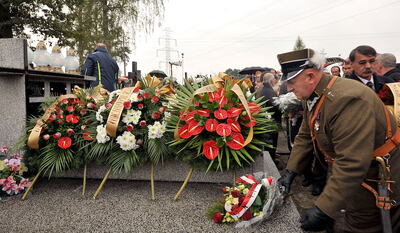 fot. Sylwester Adamczyk #5