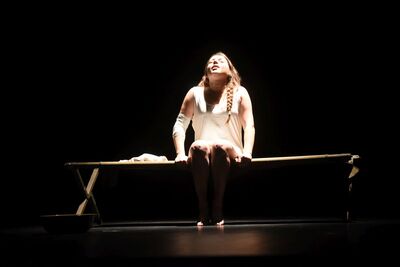 Spektakl „Zachowałam się jak trzeba – rzecz o Danusi Siedzikównie”