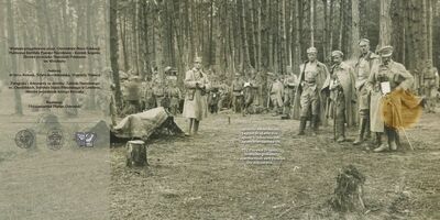 O Niepodległą. Rok 1914