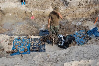 „Trupie pole”, archeolog Olaf Popkiewicz w czasie ekshumacji (2011)