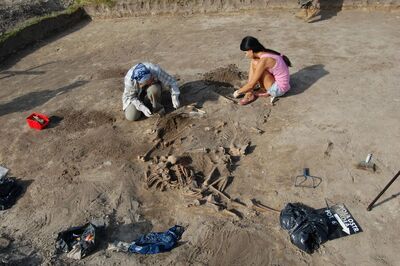 Wola Ostrowiecka, prace poszukiwawcze prowadzone przez ukraińskich i polskich archeologów (2011)