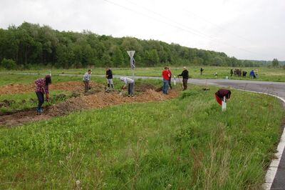 Ostrówki, poszukiwania mogiły 7 osób na „księżym wygonie” (2015)