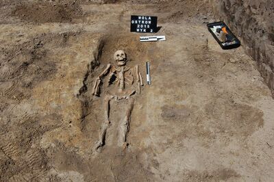 Wola Ostrowiecka, szczątki młodej kobiety (2015)