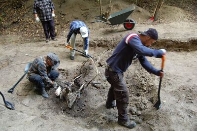 Gaj, „strzelnica”, w dole śmierci miejscowi Ukraińcy po 2000 r. celowo urządzili śmietnik