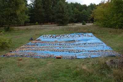 Gaj, ekshumowane szczątki nie mniej niż 81 osób