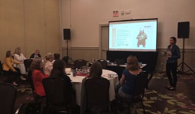 Warsztaty z pakietem edukacyjnym „Zwierzęca brygada”. Fot. M. Żelazny (IPN)