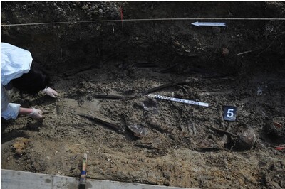 Stary Grodków. Archeolog przy pracy. Eksploracja szczątków ludzkich