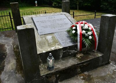 Zbiorowa mogiła Żydów w Lesie Wolica przed renowacją