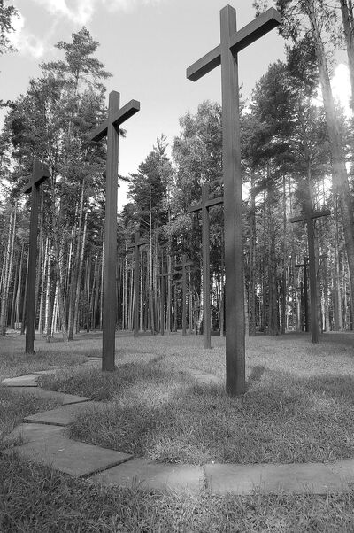 Polski Cmentarz Wojenny w Miednoje, zbiorowe groby zamordowanych policjantów. Fot. Marek Jończyk (IPN)