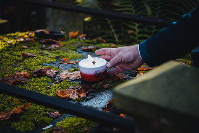 "Zapal znicz na grobie Weterana" 2022 – fot. MN/BUWiM