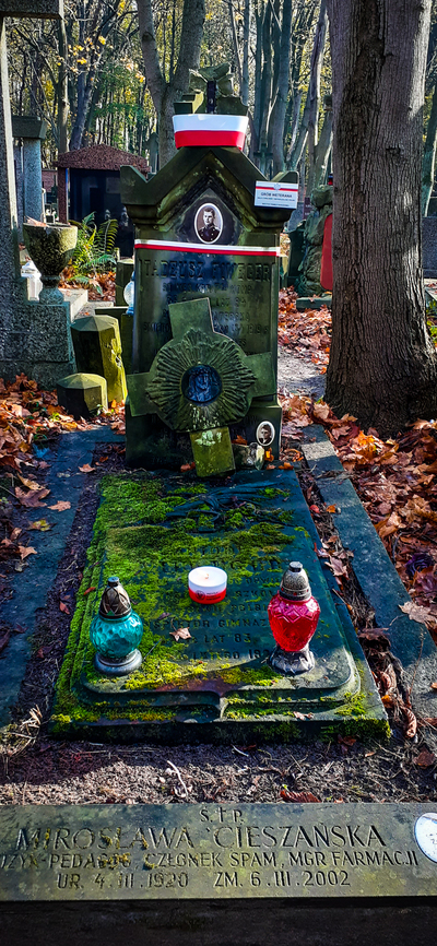 "Zapal znicz na grobie Weterana" 2022 – fot. MK/BUWiM