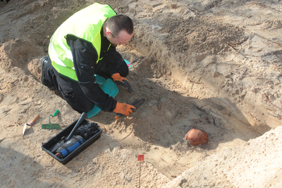 fot. Piotr Życieński