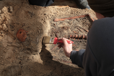 fot. Piotr Życieński