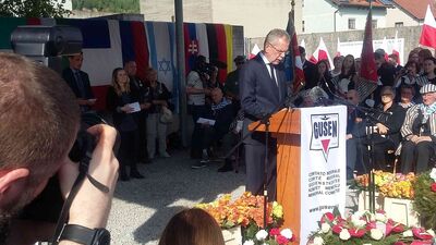 Wystąpienie prezydenta Austrii Alexandra Van der Bellena