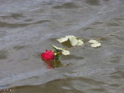 „O tym nie można zapomnieć...” – wyjazdy uczniów do Ravensbrȕck