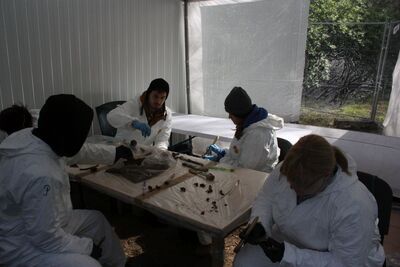 „Łączka” – 10 maja 2017. Fot. Robert Mucha