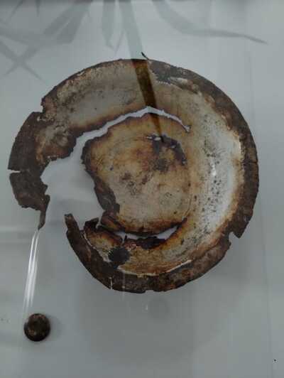 Przedmioty odnalezione w miejscu ukrywania się Józefa Bosia na terenie lasów Nadleśnictwa Gryfice w okolicach wsi Krzepocin (gm. Świerzno). Fot. IPN