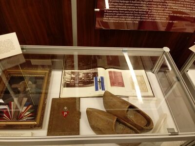 Eksponaty prezentowane na wystawie. Fot. Anna Jagodzińska (BUWiM IPN)