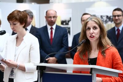 Wiceambasador Izraela przy UE Shuli Davidovich