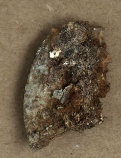 Dobrzyków – fragment nieśmiertelnika