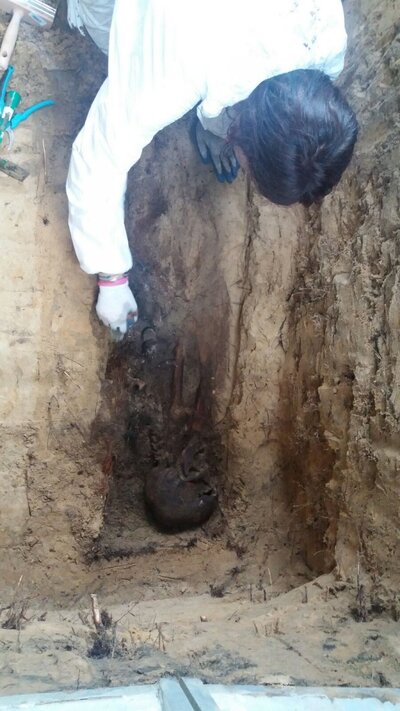 Poszukiwania szczątków Zygmunta Góralskiego na Cmentarzu Miłostowo w Poznaniu. Fot. Krzysztof Szwagrzyk (IPN)