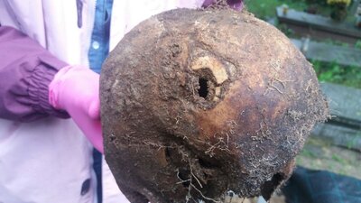 Odnalezione szczątki Zygmunta Góralskiego „Chmury”. Fot. Krzysztof Szwagrzyk (IPN)