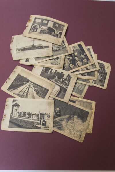 Seminarium IPN dla nauczycieli – „Poland in the Heart of European History” – warsztaty w Archiwum IPN #25