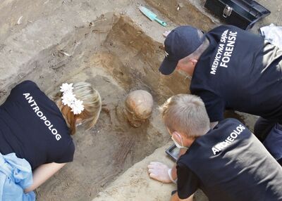 Wystawa „Milcząc, wołają”. Fot. Piotr Życieński