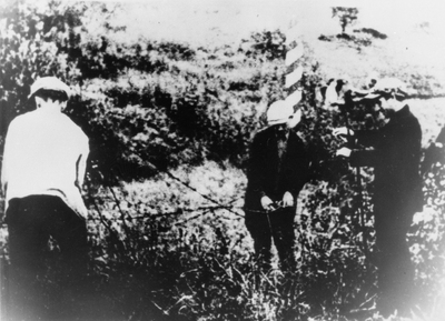 Obalanie słupów granicznych w rejonie Radoszkowicz