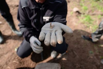 Pracownicy IPN odnaleźli na Białorusi szczątki żołnierzy września 1939