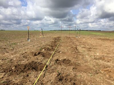 Pracownicy IPN odnaleźli na Białorusi szczątki żołnierzy września 1939