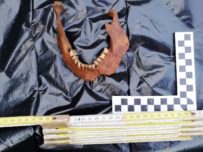 Prace Biura Poszukiwań i Identyfikacji IPN w Ostrożanach – 19 września 2017