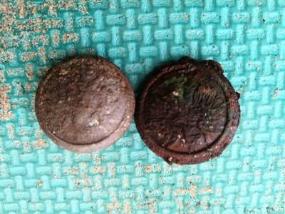 Prace Biura Poszukiwań i Identyfikacji IPN w Białymstoku – 12–21 września 2017