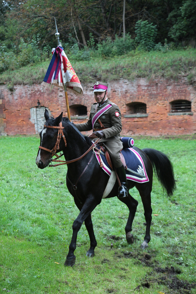 Pokaz musztry paradnej