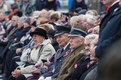 Przy Grobie Nieznanego Żołnierza. Fot. Sławomir Kasper (IPN)