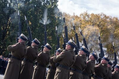 Przy Grobie Nieznanego Żołnierza. Fot. Sławomir Kasper (IPN)