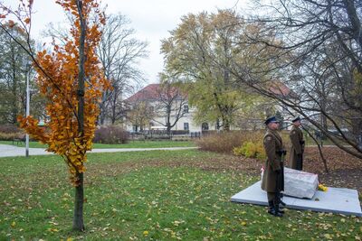 Odsłonięcie tablicy wdzięczności wobec władz i mieszkańców księstwa Kolhapur w Indiach – Warszawa, 10 listopada 2017. Fot. Sławomir Kasper (IPN)